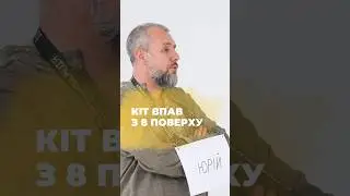 Які у вас є історії про котиків? 