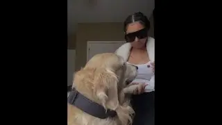 Trimming my dogs nails lol he loves being pampered