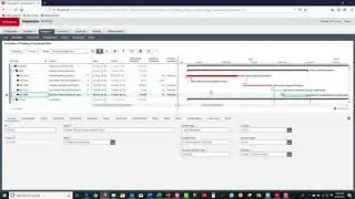 The Primavera P6 EPPM Projects Tab