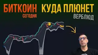БИТКОИН КУДА ПЛЮНЕТ ВЕРБЛЮД [где дно]