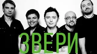 20 лучших песен ЗВЕРИ / Лучшие хиты группы Звери / Напитки покрепче, Дожди-Пистолеты и другие