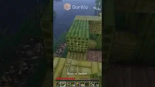Bamboo Starter House🐼