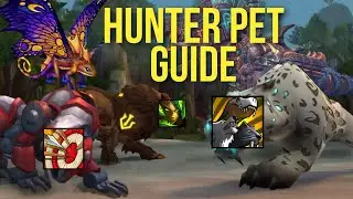 ULTIMATE WoW HUNTER PET GUIDE! | Every Pet for Every Scenario | Max DPS Pet, Utility, Raid, Mythic+