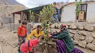 Tree planting in the village.  Babak has started the first day of tree planting 🌳🌾🌲