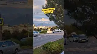 Сочи сегодня 21.04.24 