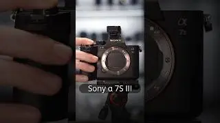 Какая камера звучит лучше? Sony a7IV/Sony a7sIII/Sony a7rIII/Sony a7rIV 