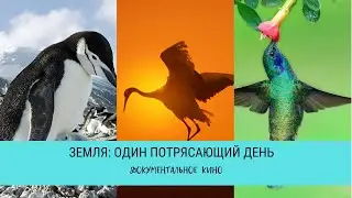 Земля: один потрясающий день / Рейтинг 8,9 / Документальный фильм (2017)