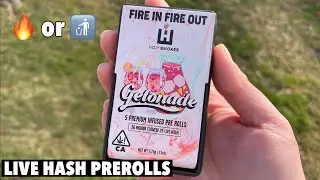 What’s inside LIVE HASH PRE ROLLS?