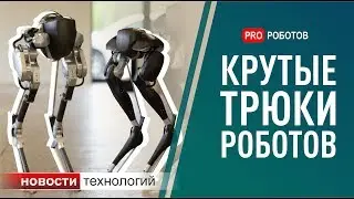 Самые крутые роботы: чему смогли научить роботов? (Новости технологий)