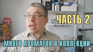 МНОГО АРОМАТОВ В КОЛЛЕКЦИИ: ГОРЕ или БЕДА? )) Vol.2