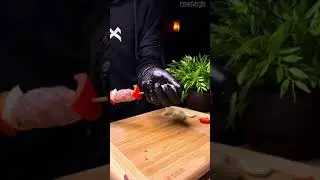 TOSHAYO ВЫЛОЖИЛ НОВЫЙ ТИК ТОК | TIKTOK | ТОШАЙО 79198