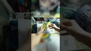 новая Коллекция авокадо