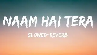 Naam Hai Tera Tera Slowed-Reverb Lofi Music 🎶