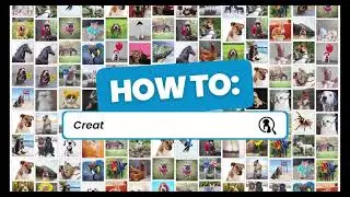 How to place a casting | The Animal List