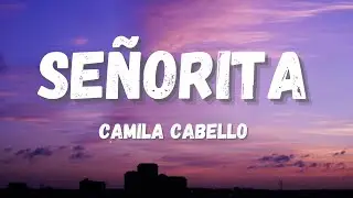 Shawn Mendes, Camila Cabello - Señorita [Remix]