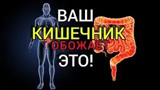 ПРОДУКТЫ КОТОРЫЕ ВАШ КИШЕЧНИК ОБОЖАЕТ