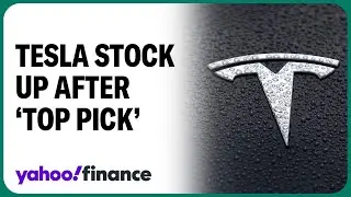 Morgan Stanley names Tesla top pick, stock jumps