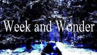 cosmicdust - Week and Wonder - (Youtube edition)