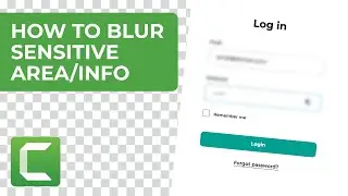 How to Blur Sensitive Information Area in Camtasia