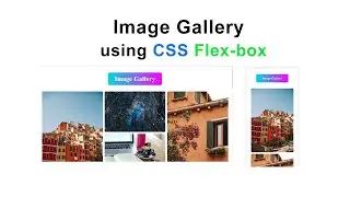 Responsive Image Gallery Using Only CSS flex-box.| HTML And CSS.