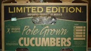 RECALL ALERT: Limited Edition cucumbers