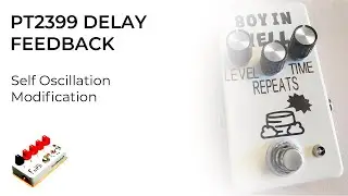 PT2399 Delay Pedals - How to Add Self Oscillation