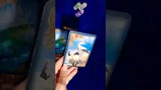 О ЧЕМ ВАШ СОН??? 😇😇😇 #бумеранг #таро #гадание #tarot