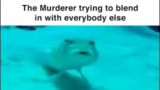 Roblox Murder Mystery Slander 5.0