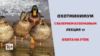 Охотминимум. Лекция 17. Охота на уток