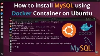 How to install MySQL using Docker Container on Ubuntu | Run Mysql Using Docker