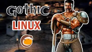 Как запустить Готика 2 на Linux | Gothic 2 Linux | Lutris
