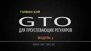 Гэлвин Бэй. GTO для преуспевающих регуляров. Модуль 3. (Фрагмент)