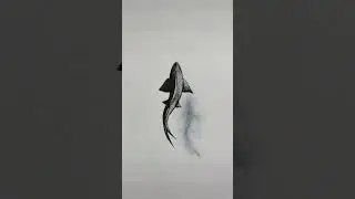 How to draw a shark :) 🦈 Newmoonprincess art tutorial