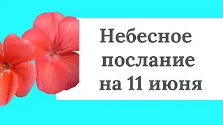 Небесное послание на 11 июня. Работа с желаниями.