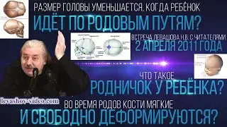 Что такое родничок у ребёнка, размер головы уменьшается во время родов, мягкие кости (Левашов Н.В.)