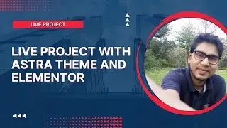 live project with astra theme and elementor pro