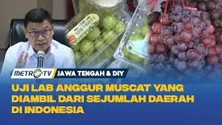 Hasil Uji Lab: Anggur Muscat Aman Dikonsumsi