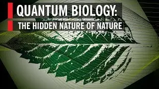 Quantum Biology: The Hidden Nature of Nature