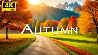 Enchanting Autumn Forests with Beautiful Piano Music🍁4K Autumn Ambience & Fall Foliage #2