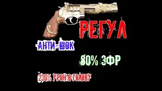 БИЛД Регул 80% ЗФР + АНТИ-ШОК  