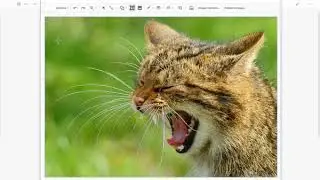 Google drawing in docs