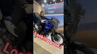 New 2025 Yamaha Tenere 700 Low first impression 