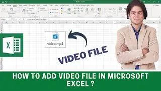 How to add video file in Microsoft Excel ? | Can I add a video file to Excel?