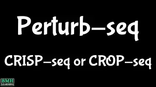 Perturb-seq | CRISP-seq | CROP-seq | Perturb Seq Analysis |