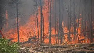 Troops join firefighting efforts as wildfires inch closer to Sask. town