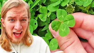 does LUCK really exist?