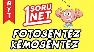 Fotosentez /Kemosentez /196/2 / AYT Biyoloji