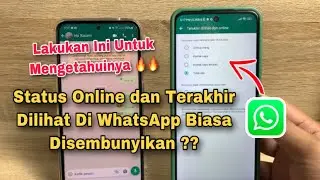 Cara Melihat Online WhatsApp Yang Disembunyikan