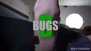 BUGS 3 (preview)