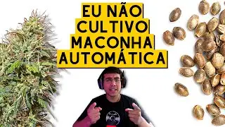 Os MOTIVOS pra evitar GENÉTICA AUTOMÁTICA